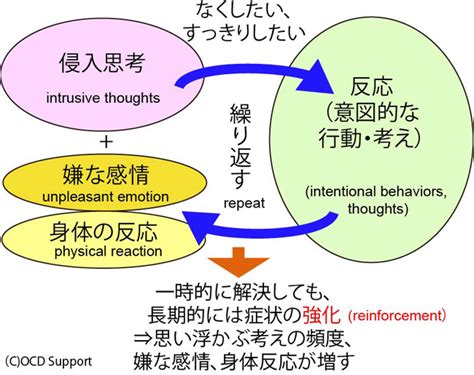 態度理論|行動実験による態度測定 ―社会心理学における態度研究への基。